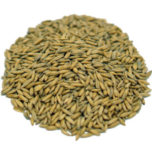 Oats