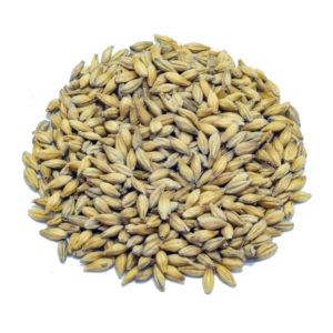 Bruehmalt